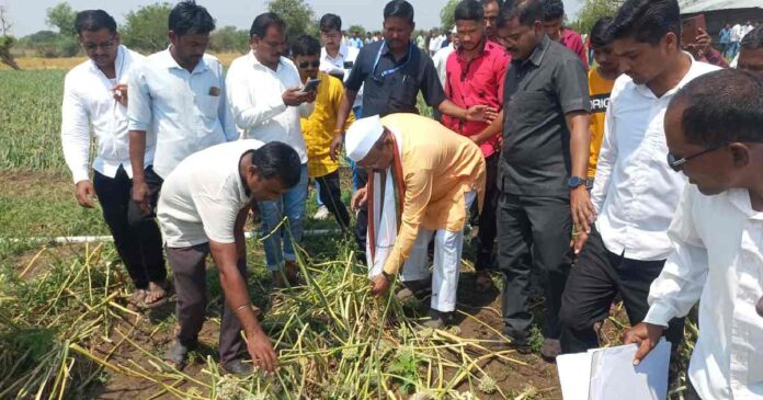 Agriculture Minister inspects crop damage in Belura area