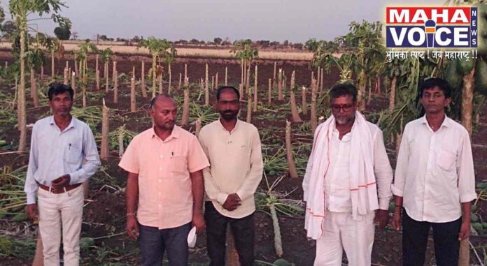 murtizapur farmers