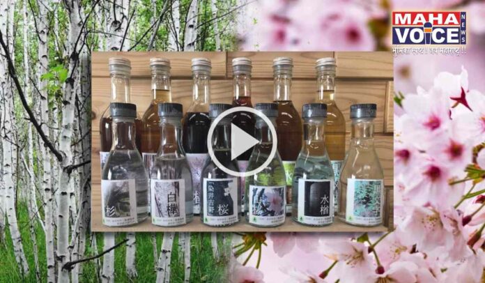 Alcoholic drinks made from trees
