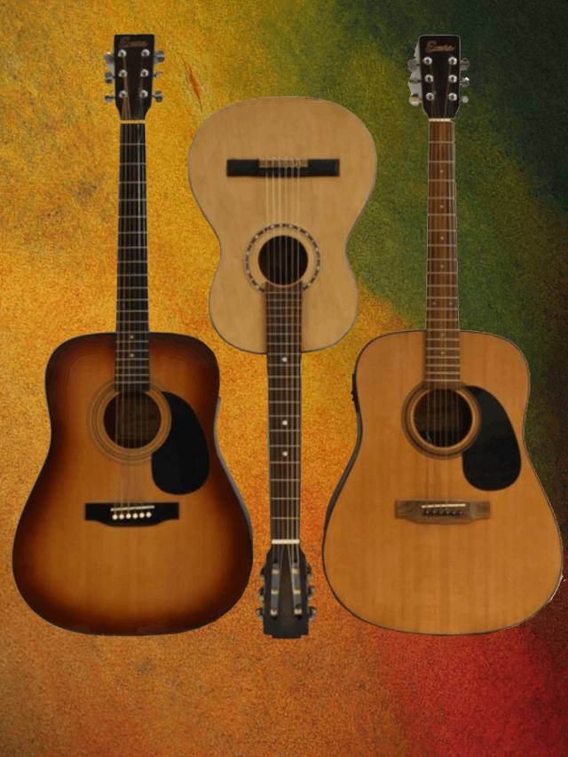 5 Best Acoustic Guitars of All Time…