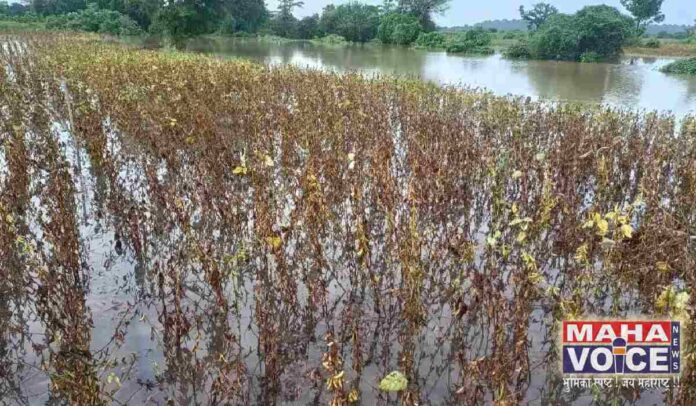 Crops on hectares were damaged