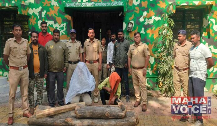 Two accused arrested for illegal tree felling