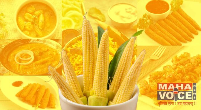 Baby corn recipes